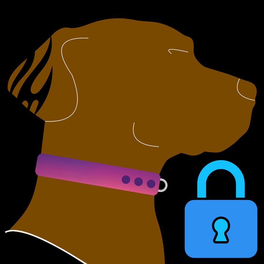 Avery's VPN logo: Avery, a brown dog in a pink collar, next to a blue padlock